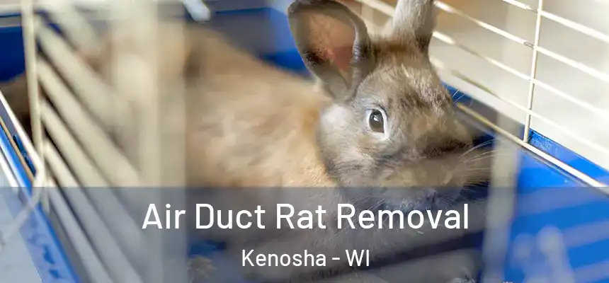  Air Duct Rat Removal Kenosha - WI