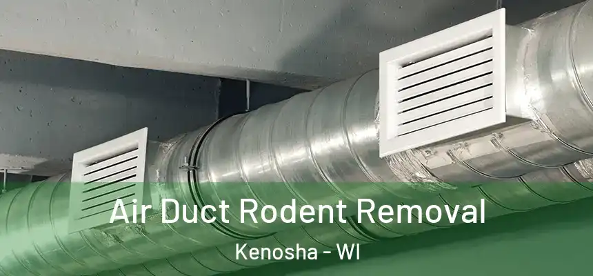  Air Duct Rodent Removal Kenosha - WI