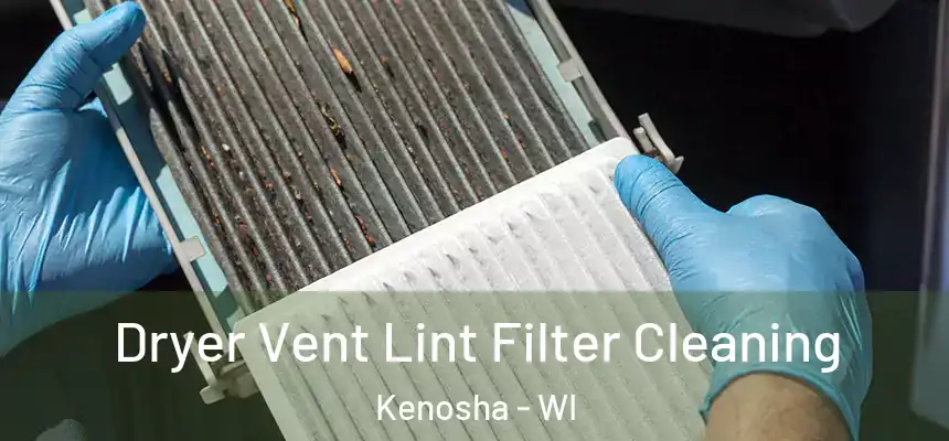 Dryer Vent Lint Filter Cleaning Kenosha - WI