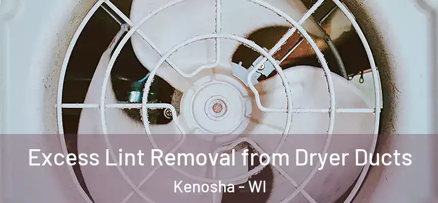 Excess Lint Removal from Dryer Ducts Kenosha - WI
