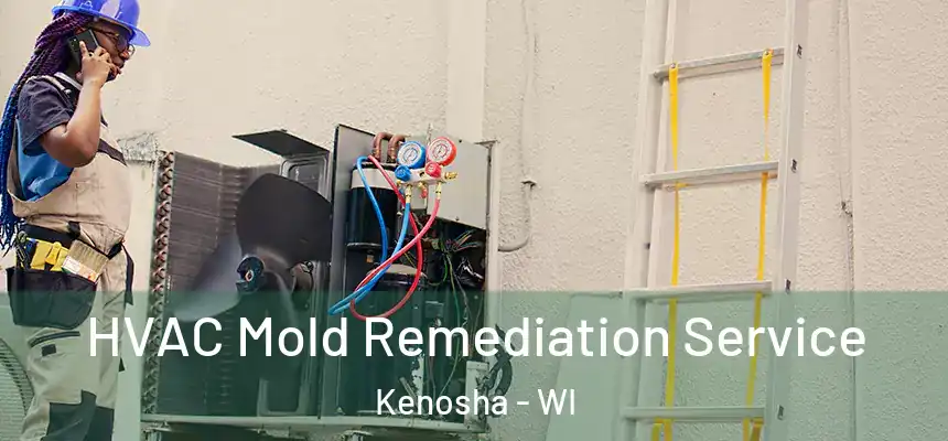  HVAC Mold Remediation Service Kenosha - WI
