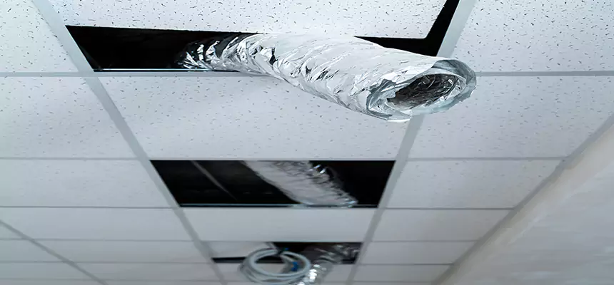 Our Air Duct Pet Hair Removal Services in Kenosha, WI