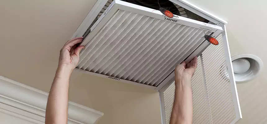 Our Insect Removal from Air Ducts Services in Kenosha, WI