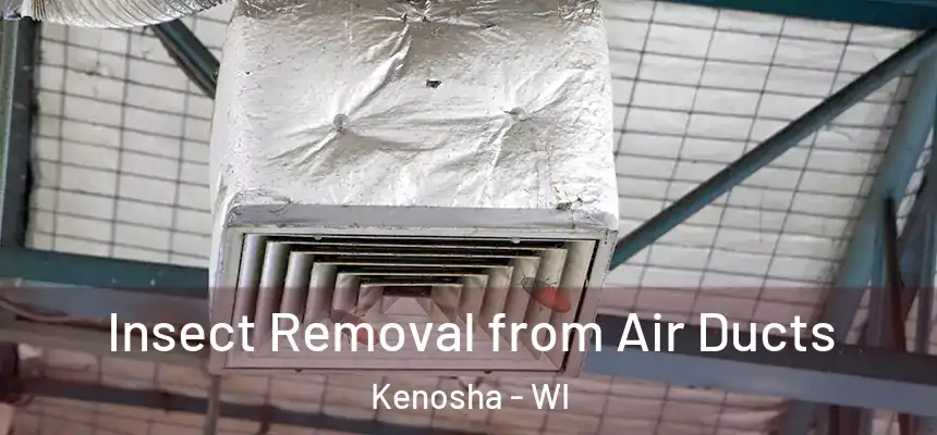 Insect Removal from Air Ducts Kenosha - WI