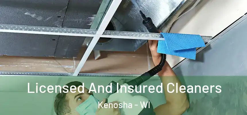 Licensed And Insured Cleaners Kenosha - WI