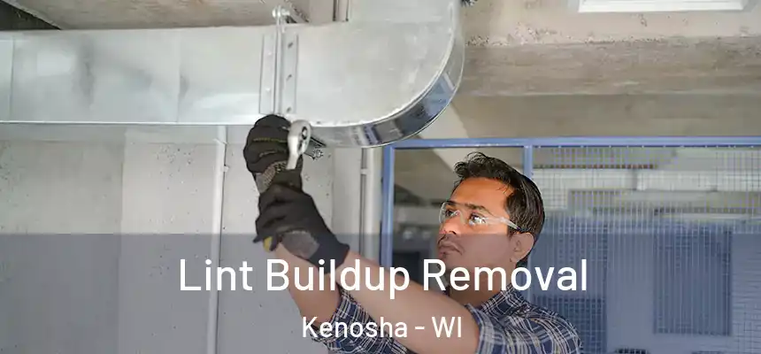 Lint Buildup Removal Kenosha - WI
