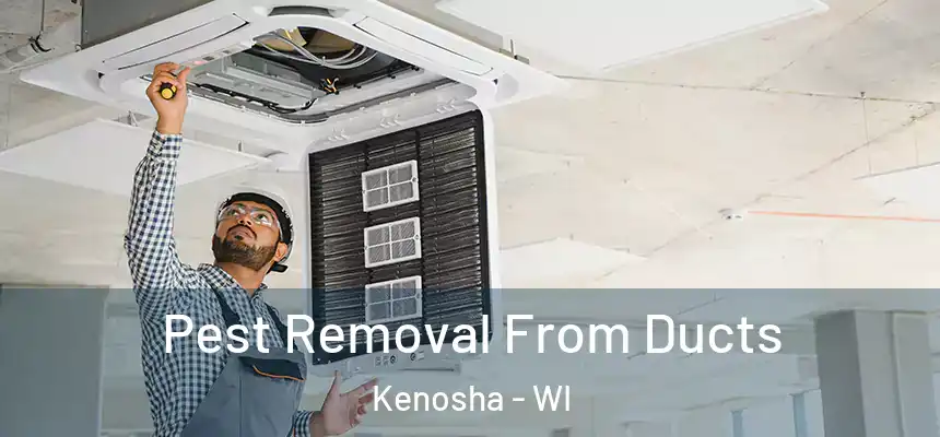 Pest Removal From Ducts Kenosha - WI
