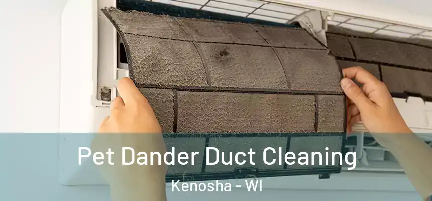  Pet Dander Duct Cleaning Kenosha - WI