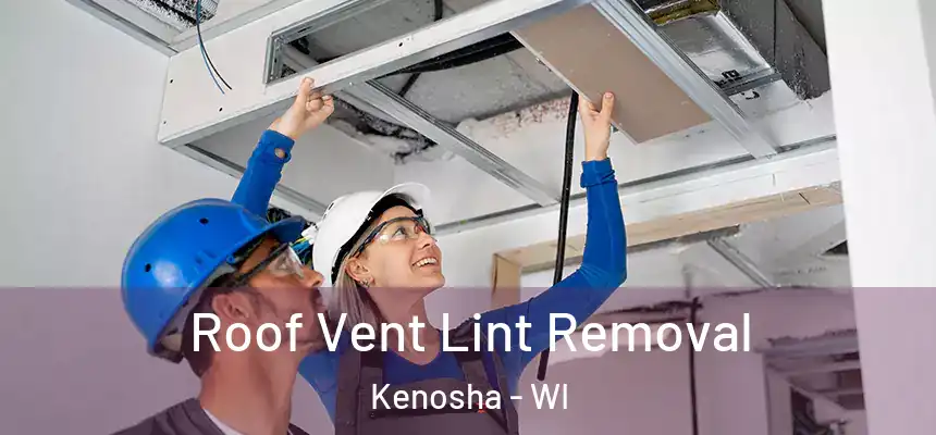 Roof Vent Lint Removal Kenosha - WI