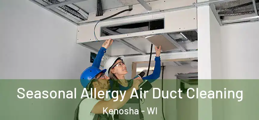  Seasonal Allergy Air Duct Cleaning Kenosha - WI