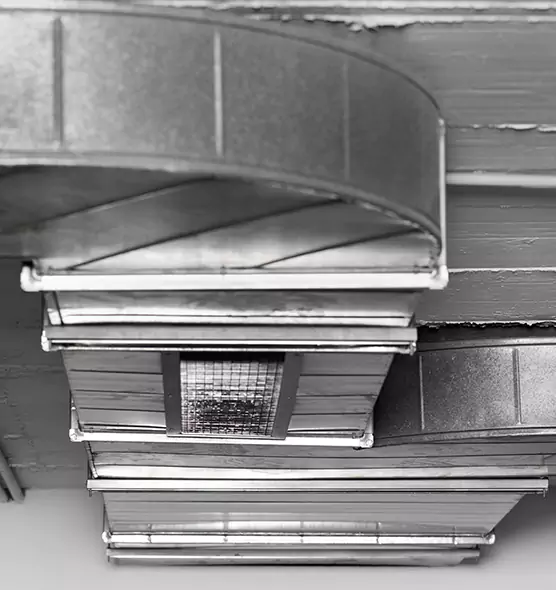 Professional Air Duct Pest Removal in Kenosha, WI