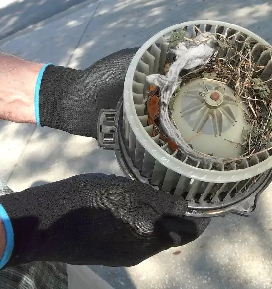 About Air Duct Rat Removal in Kenosha, WI