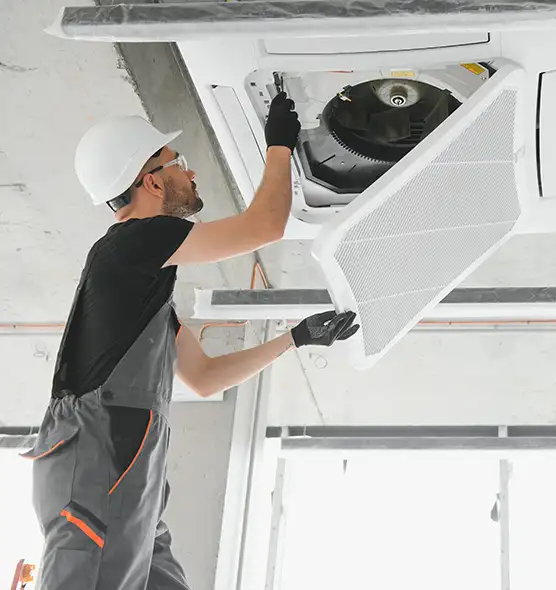 About Air Duct Rodent Removal in Kenosha, WI