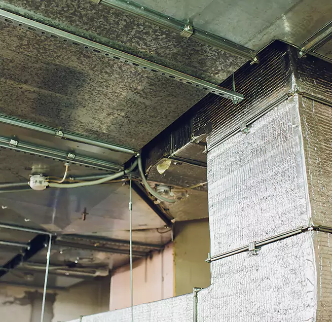 Why Homeowners & Businesses Trust Us in Kenosha, WI?